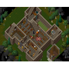 Ultima Online 30035