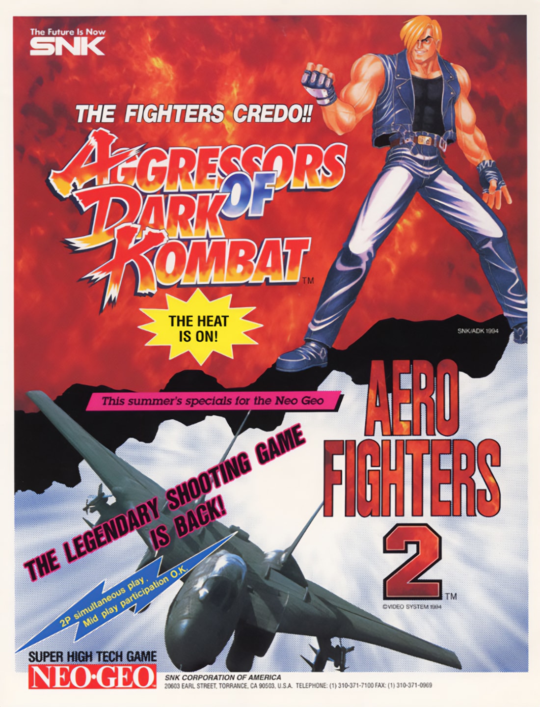 Aero Fighters 2
