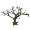 Bog Thing