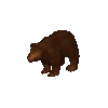 Brown Bear