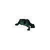 Bull Frog
