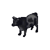 Bull