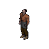 Cook