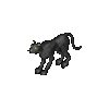 Cougar