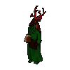 Elf Mage
