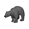Evil Polar Bear