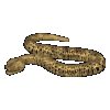 Giant Serpent