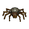 Arachnids