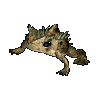 Giant Toad