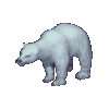 Good Polar Bear