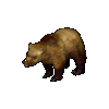Grizzly Bear