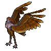 Harpy