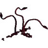 Tentacles of the Harrower