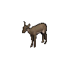 Hind