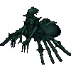 Ilyxia the Arachnid Queen