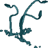 Kraken