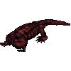 Lava Lizard