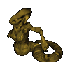 Ophidian Queen