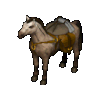 Pack Horse