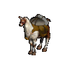 Pack Llama