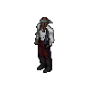Pirate Navigator