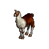 Ridable Llama