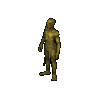Royal Mummy