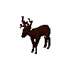 Holiday Reindeer