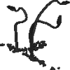 Shipwreck Kraken