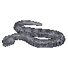 Silver Serpent