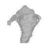 Snow Elemental