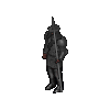 Temple Guard