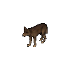 Timber Wolf