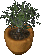 Armed Faction Trap