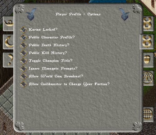 Patch Screenshot