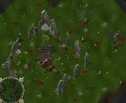 Camp of knights hidden in jungle