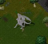 Albino Wyrm