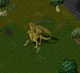 Gilded Dragon