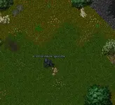 Silverback Gorilla